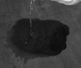 Aqua Velours Super saugfähige Badematte – Ultra rutschfeste Fußmatte aus Korallensamt