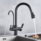 Küchenarmatur mit Wasseraufbereitung, schwenkbarem Auslauf und Warm-Kalt-Mischer in Schwarz