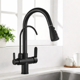 Küchenarmatur mit Wasseraufbereitung, schwenkbarem Auslauf und Warm-Kalt-Mischer in Schwarz