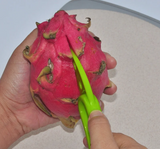 AvoMaster 3-in-1 Avocadoschneider