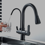 Küchenarmatur mit Wasseraufbereitung, schwenkbarem Auslauf und Warm-Kalt-Mischer in Schwarz